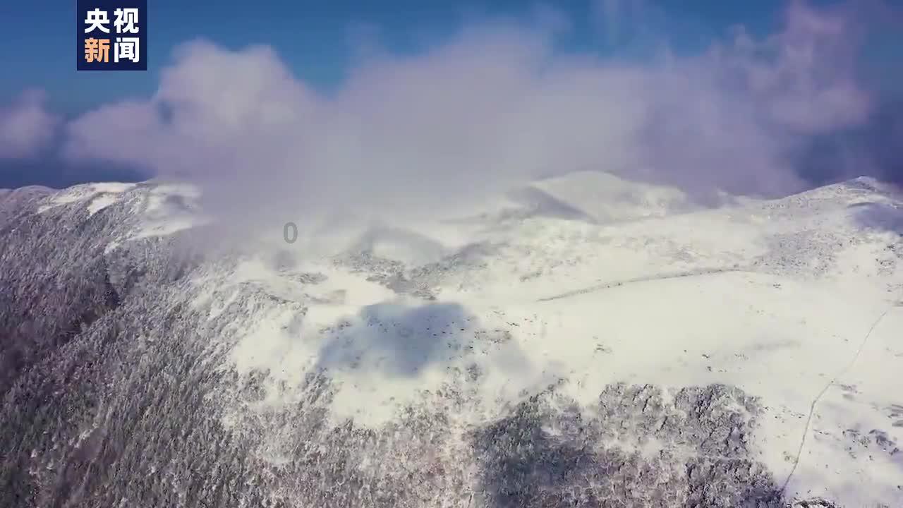 十种春季养生食材，让你在阳光明媚的春天里健康养生，享受美味