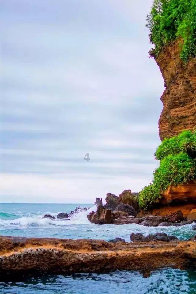 爱丽丝和闺蜜